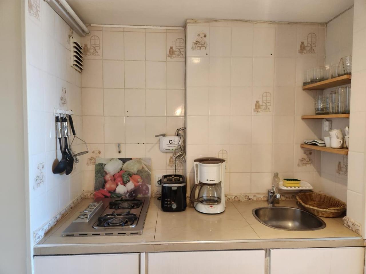 Buena Vista Apartman San Carlos de Bariloche Kültér fotó